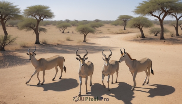 standing,outdoors,sky,day,signature,tree,blue sky,pokemon (creature),no humans,shadow,animal,grass,scenery,sand,palm tree,animal focus,desert,deer,looking at viewer,horns,goat