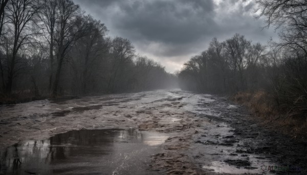 A landscape caught in a vivid day