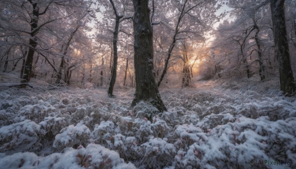 A idyllic unique subject within a vivid snowy outdoors