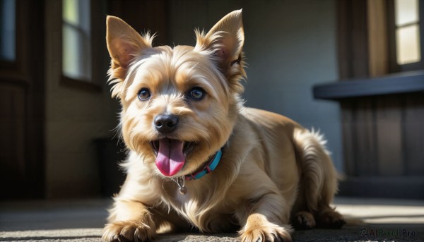 A peaceful image of a dog in day