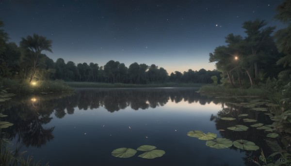 outdoors,sky,water,tree,no humans,night,leaf,grass,plant,star (sky),nature,night sky,scenery,forest,starry sky,reflection,lantern,river,lake,lily pad,pond,lamppost,fireflies