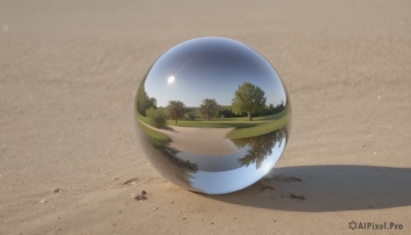 outdoors,sky,day,tree,no humans,shadow,beach,scenery,lens flare,reflection,sand,palm tree,sun,road,desert,cloud,blue sky,sunlight,grass,nature,ball,forest,footprints