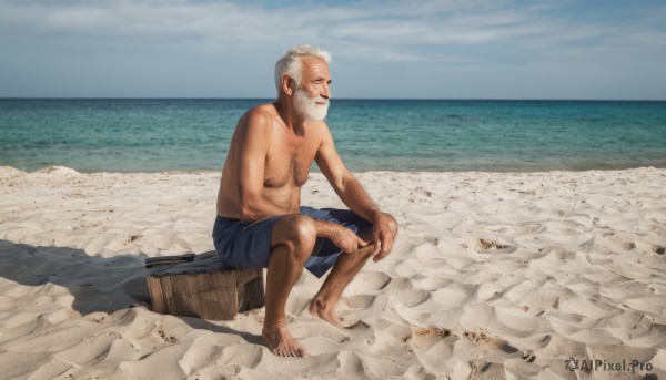 solo,1boy,sitting,weapon,white hair,male focus,outdoors,sky,shorts,barefoot,day,cloud,facial hair,ocean,beach,beard,topless male,realistic,mustache,sand,old,chest hair,male swimwear,old man,swim trunks,leg hair,arm hair,fine art parody,dirty feet,grey hair,water,blue sky,parody,horizon