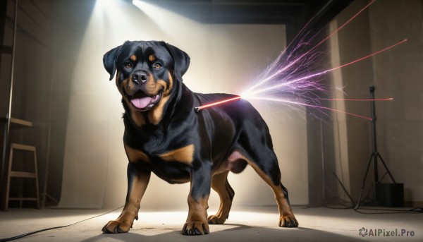 A stunning portrayal of a dog in a breathtaking dynamic scene