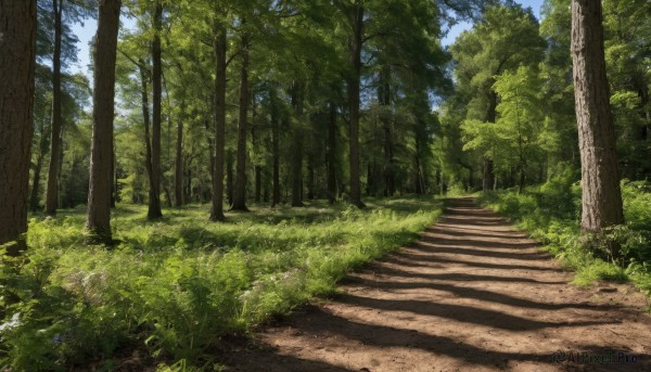 outdoors,sky,day,cloud,tree,blue sky,no humans,shadow,sunlight,grass,plant,nature,scenery,forest,stairs,road,bush,path,traditional media