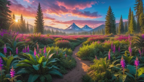 A landscape in a breathtaking sunset outdoors