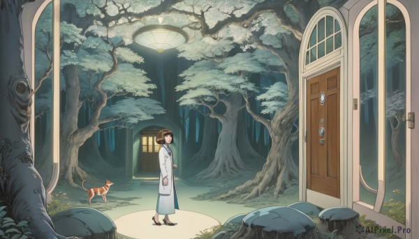 1girl,solo,short hair,brown hair,black hair,long sleeves,dress,standing,outdoors,shoes,indoors,tree,coat,window,animal,brown footwear,cat,grass,nature,scenery,forest,door,labcoat,wide shot,looking at viewer,closed mouth,black footwear,from side,lantern,rock,open door