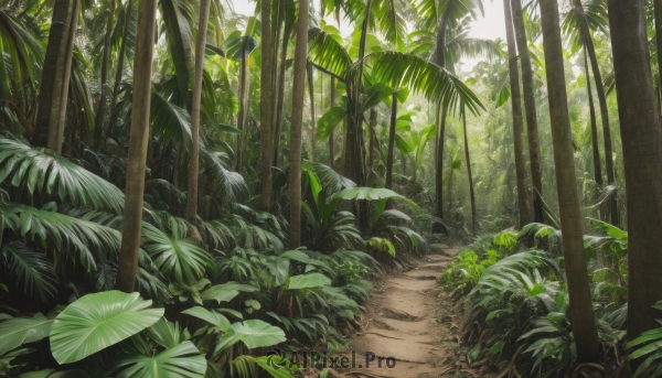 outdoors,day,tree,dutch angle,no humans,leaf,traditional media,sunlight,plant,nature,scenery,forest,green theme,grass,road,bush,path