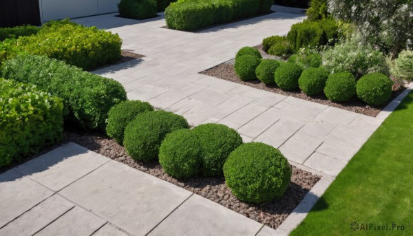 A unique view of a garden in day