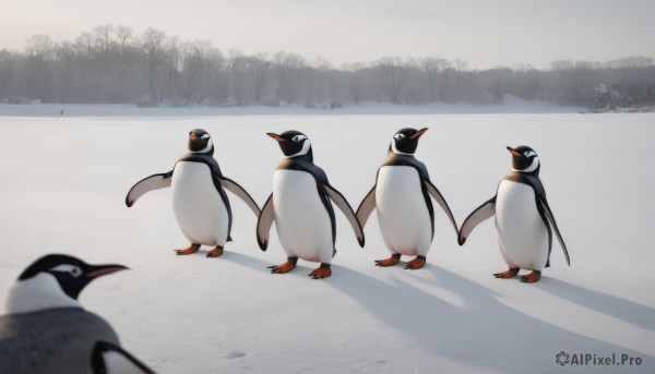 standing,outdoors,day,blurry,tree,no humans,shadow,bird,animal,nature,scenery,snow,animal focus,winter,penguin,flock,simple background,white background,sky,holding hands,walking,road,6+others