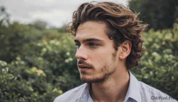 solo,short hair,blue eyes,brown hair,shirt,1boy,closed mouth,white shirt,male focus,outdoors,day,collared shirt,blurry,looking to the side,blurry background,facial hair,portrait,beard,curly hair,realistic,mustache,brown eyes,striped,lips,depth of field,looking away,striped shirt,nose,stubble,bush,looking afar