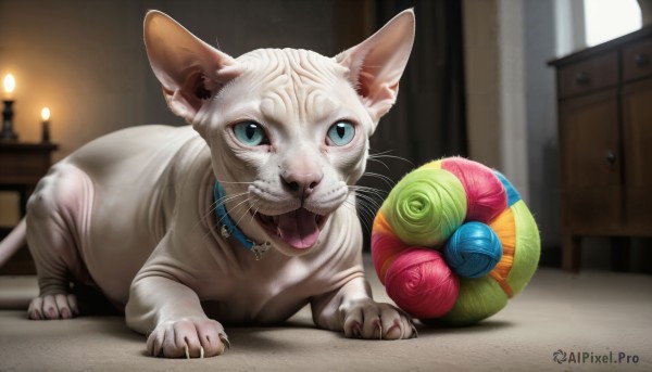 HQ,solo,looking at viewer,open mouth,blue eyes,tongue,indoors,tongue out,blurry,collar,no humans,depth of field,blurry background,animal,fangs,cat,curtains,slit pupils,ball,realistic,candle,animal focus,mouse,whiskers,yarn,yarn ball,playing,jewelry,full body,lying,necklace,window,claws,white fur