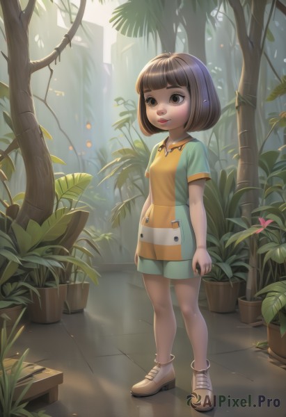 1girl,solo,short hair,bangs,brown hair,shirt,brown eyes,standing,full body,flower,short sleeves,small breasts,boots,outdoors,parted lips,shoes,shorts,striped,artist name,signature,blunt bangs,tree,lips,watermark,brown footwear,sunlight,bob cut,plant,child,arms at sides,tiles,female child,potted plant,tile floor,nature,multicolored clothes,forest