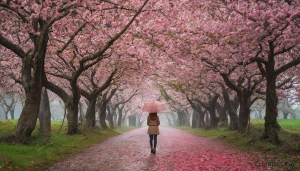 1girl, solo, holding, flower, pantyhose, outdoors, day, bag, from behind, tree, umbrella, backpack, grass, cherry blossoms, nature, scenery, holding umbrella, road, wide shot, path, pink umbrella