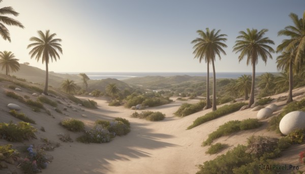 flower,outdoors,sky,day,water,tree,blue sky,no humans,shadow,ocean,beach,grass,plant,nature,scenery,rock,sand,palm tree,horizon,bush,shade,shore,landscape