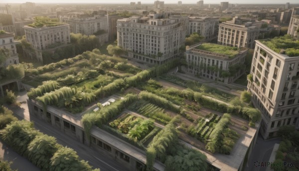 outdoors,day,tree,no humans,window,ground vehicle,building,scenery,motor vehicle,city,car,road,cityscape,ruins,bridge,skyscraper,overgrown