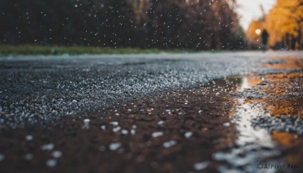 outdoors,sky,water,blurry,tree,no humans,night,depth of field,moon,star (sky),nature,night sky,scenery,snow,forest,starry sky,reflection,space,autumn leaves,river,road,planet,autumn,landscape