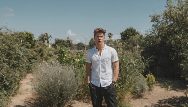 solo,looking at viewer,short hair,brown hair,shirt,1boy,brown eyes,standing,white shirt,short sleeves,male focus,cowboy shot,outdoors,sky,day,collared shirt,pants,cloud,tree,blue sky,black pants,grass,nature,scenery,watch,realistic,hands in pockets,wristwatch,road,photo background,pompadour,path,open mouth,looking to the side,plant,bush