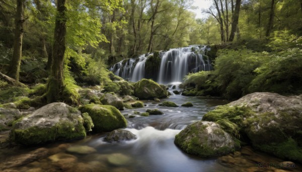 outdoors,day,water,tree,no humans,sunlight,nature,scenery,forest,rock,river,waterfall,stream,grass,landscape,moss