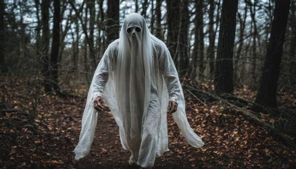 solo,standing,full body,outdoors,tree,no humans,nature,1other,forest,walking,monster,robe,bare tree,horror (theme),1girl,long hair,long sleeves,facing viewer,ghost,ghost costume