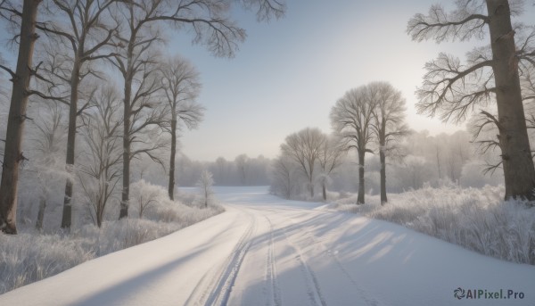 outdoors,sky,day,cloud,tree,blue sky,no humans,sunlight,grass,nature,scenery,forest,mountain,road,bare tree,landscape,path,water,snow,reflection,winter,fog