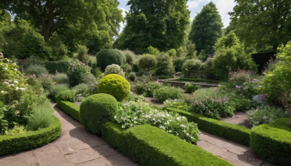 A graceful view of a garden in day