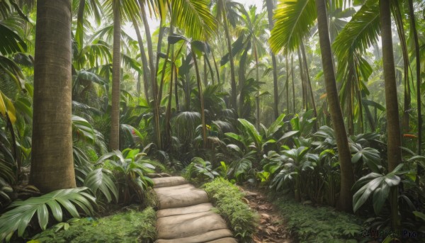 outdoors,day,tree,no humans,leaf,sunlight,grass,plant,nature,scenery,forest,stairs,palm tree,bush,traditional media,road,path