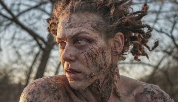 1girl,solo,short hair,brown hair,1boy,green eyes,male focus,outdoors,parted lips,blurry,tree,lips,grey eyes,blurry background,portrait,wide-eyed,realistic,cracked skin,blonde hair,upper body,looking to the side,blood,looking away,branch,dirty,bare tree,dirty face