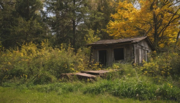 outdoors,sky,day,tree,no humans,traditional media,grass,plant,building,nature,scenery,forest,road,bush,house,path,window,leaf,autumn