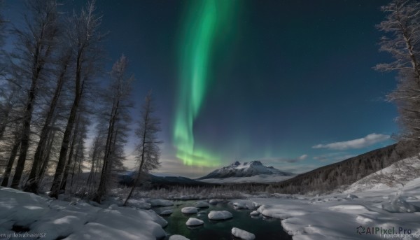 outdoors,sky,artist name,cloud,signature,water,dated,tree,no humans,night,watermark,star (sky),nature,night sky,scenery,web address,snow,forest,starry sky,rock,mountain,winter,bare tree,landscape,pine tree,aurora,grass,shooting star