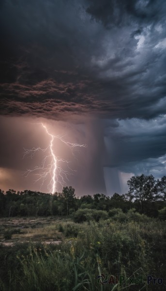 The serene presence of a lightning in a peaceful outdoors