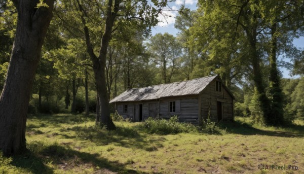 outdoors,sky,day,cloud,tree,blue sky,no humans,window,grass,building,nature,scenery,forest,door,road,bush,house,path,cloudy sky,plant