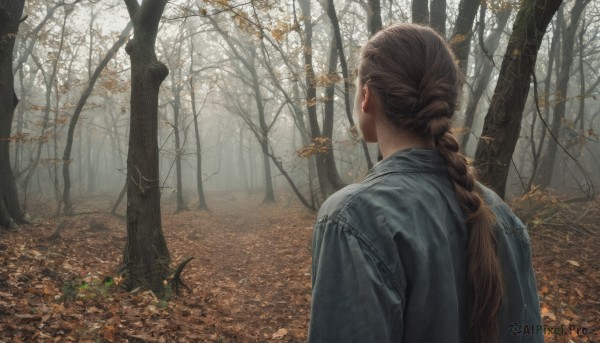 1girl,solo,long hair,brown hair,upper body,ponytail,braid,outdoors,day,from behind,tree,single braid,leaf,nature,scenery,forest,realistic,facing away,autumn leaves,bare tree,autumn,sunlight,braided ponytail,robe