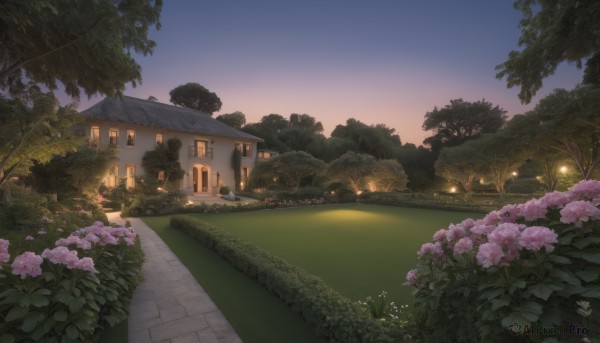 A unique view of a garden in sunset outdoors