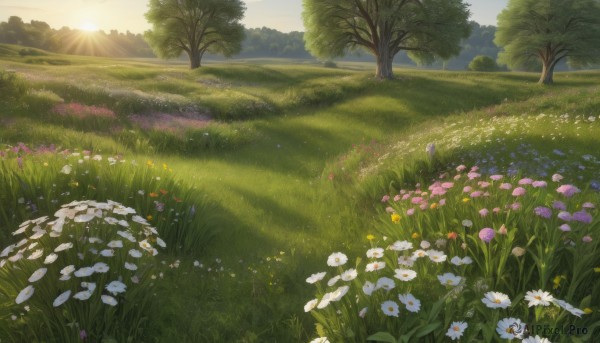 A tranquil view of a landscape in sunset day