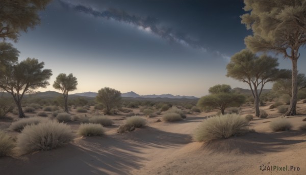 outdoors,sky,cloud,tree,blue sky,no humans,night,shadow,grass,star (sky),nature,night sky,scenery,forest,starry sky,sunset,mountain,road,landscape,path,day,beach,sand,horizon,bush,evening,gradient sky,sunrise,desert