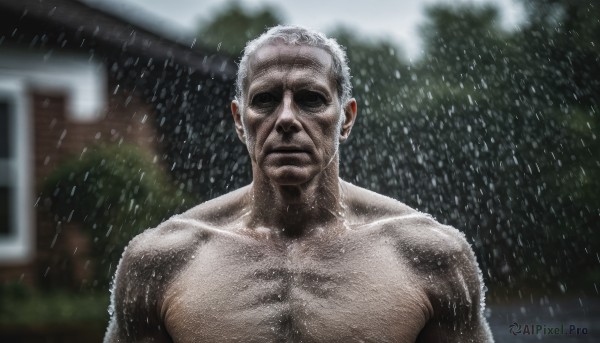 solo,looking at viewer,1boy,closed mouth,upper body,white hair,male focus,outdoors,blurry,tree,wet,blurry background,facial hair,parody,building,rain,meme,realistic,manly,old,chest hair,old man,wrinkled skin,collarbone,nude,muscular,shaded face,snow,topless male,snowing