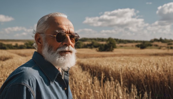 solo,shirt,1boy,jacket,upper body,white hair,male focus,outdoors,sky,day,collared shirt,cloud,blurry,blue sky,depth of field,blurry background,facial hair,sunglasses,beard,realistic,mustache,bald,manly,field,old,old man,closed mouth,grey hair,glasses,from side,lips,black shirt,cloudy sky,blue shirt,scenery,striped shirt,round eyewear