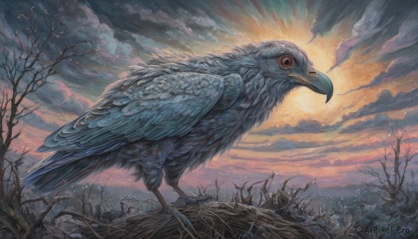 A unique subject captured in a dynamic sunset outdoors