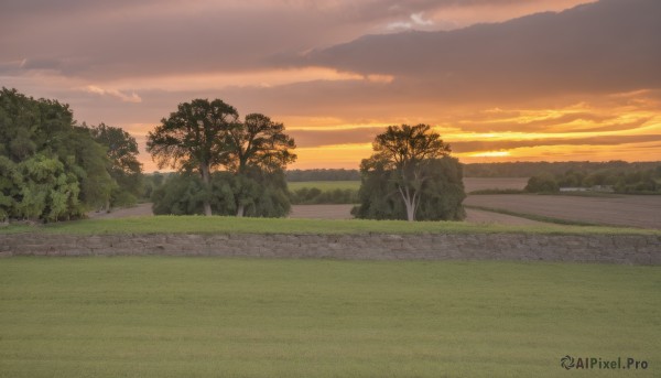 outdoors,sky,cloud,tree,no humans,cloudy sky,grass,nature,scenery,forest,sunset,horizon,road,bush,field,evening,landscape,orange sky,path,hill,yellow sky