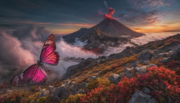 flower, outdoors, wings, sky, cloud, no humans, cloudy sky, bug, butterfly, nature, scenery, flying, sunset, mountain, field, landscape, mountainous horizon