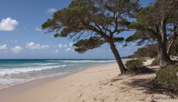 outdoors,sky,day,cloud,water,tree,blue sky,no humans,ocean,beach,cloudy sky,grass,nature,scenery,sand,palm tree,horizon,shore,waves