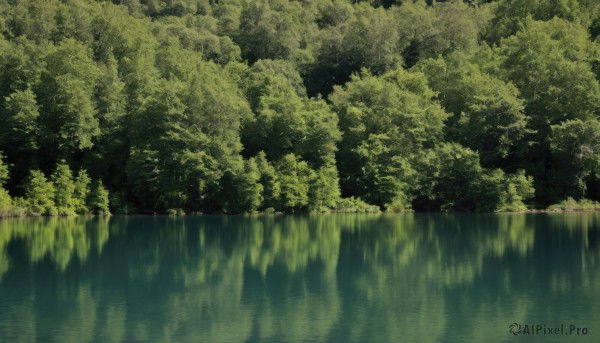 outdoors,water,tree,no humans,traditional media,nature,scenery,forest,reflection,bush,green theme,river,lake,day,plant,reflective water