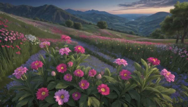 A stunning landscape within a vivid sunset day