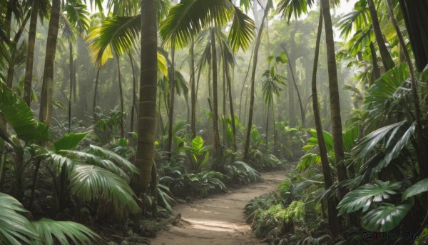 outdoors,day,tree,no humans,leaf,sunlight,grass,plant,nature,scenery,forest,sand,palm tree,bush,shade,dappled sunlight,green theme,road,path