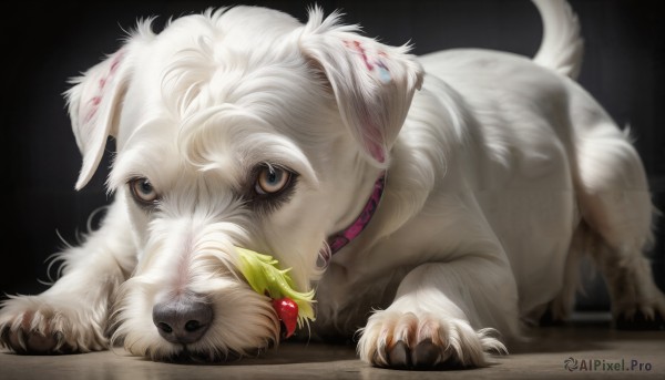 The majestic beauty of a dog set within a dynamic dynamic scene