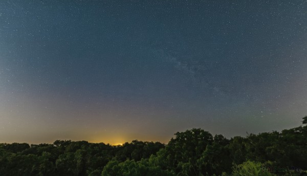 outdoors,sky,cloud,tree,no humans,night,grass,star (sky),nature,night sky,scenery,forest,starry sky,sunset,gradient sky,signature,star (symbol)