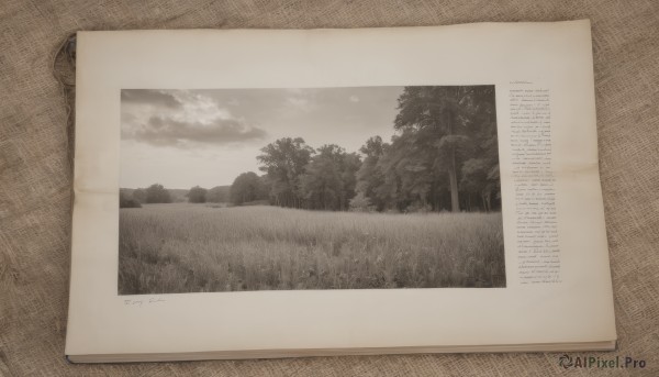 A unique subject framed by the beauty of a majestic outdoors