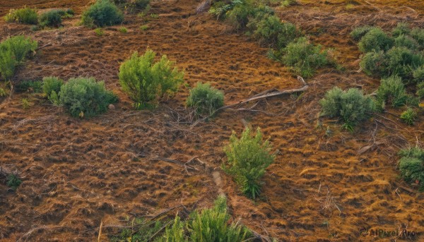 The allure of a landscape in a dynamic day
