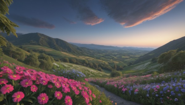 The serene presence of a landscape in a lush sunset outdoors